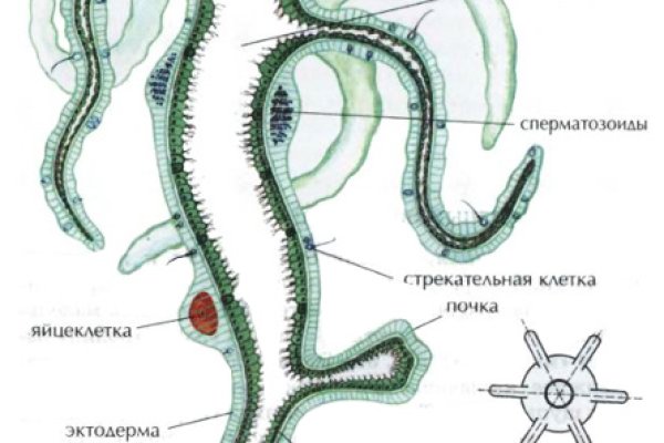 Кракен маркетплейс официальный сайт