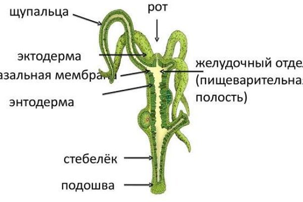 Что такое кракен наркотик