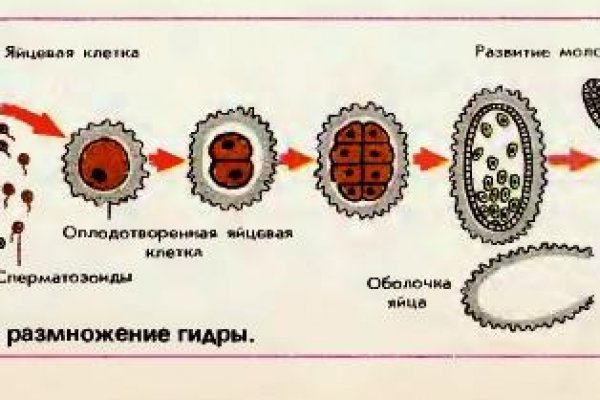 Рабочая ссылка на кракен